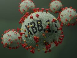 Ilustrasi Omicron subvarian XBB 1.5 yang dijuluki sebagai Kraken.(SHUTTERSTOCK/Pete Hansen)