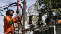 pemeliharaan jaringan pln Petugas PT PLN (Persero) cabang Kendari melakukan pemeliharaan jaringan listrik. ANTARA FOTO/Jojon/wsj/18.